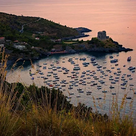 Magnifica Casa Casa vacanze *
