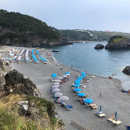 Magnifica Casa